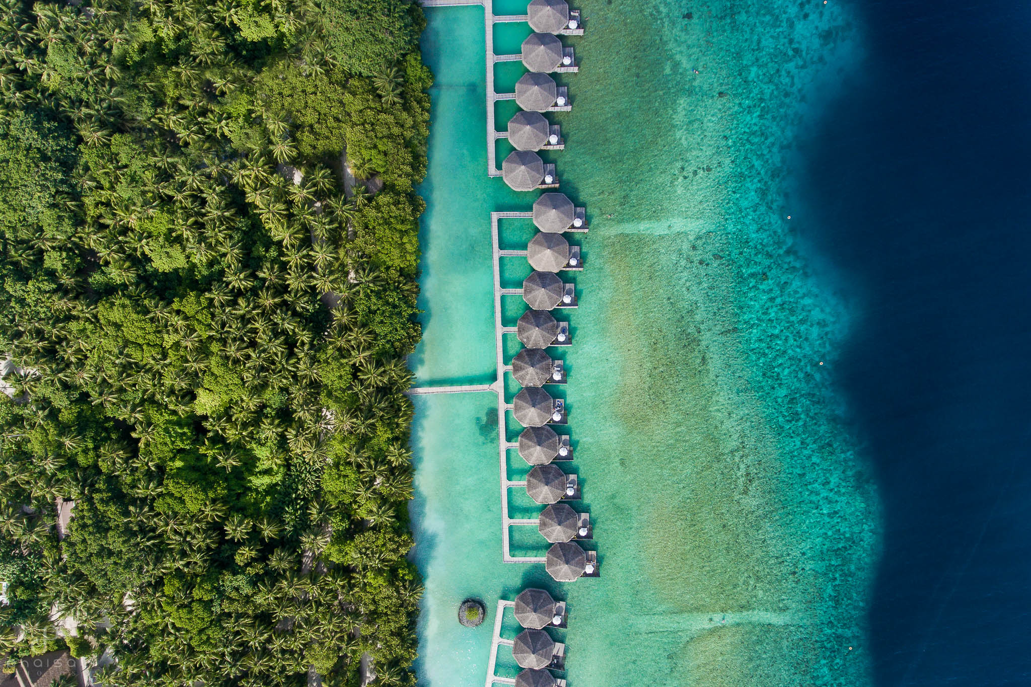 Kuramathi maldives photo by phaisalphotos